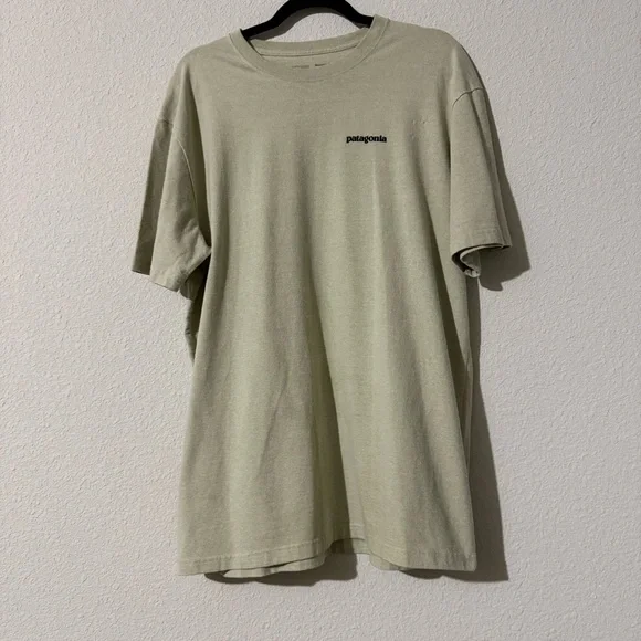 Patagonia Men's Sage Green Short Sleeve Tee - Picture 1 of 7